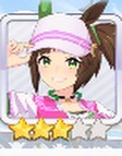 アイネスフウジン