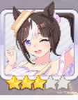ホッコータルマエ