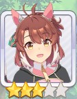 ダンツフレーム